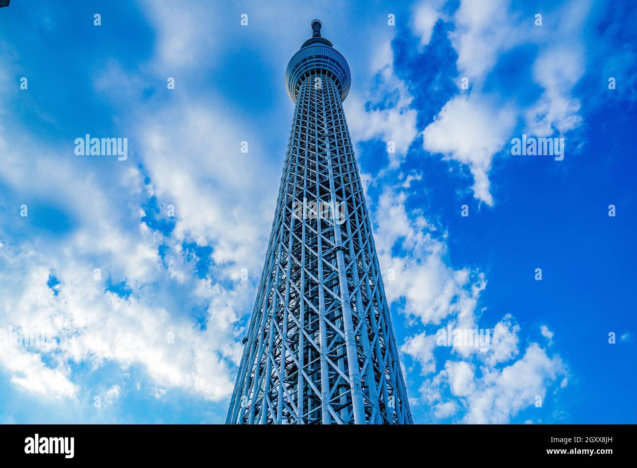 Sky of Tokyo Sky Tree and fine weather. Shooting Location: Tokyo metropolitan area Stock Photo