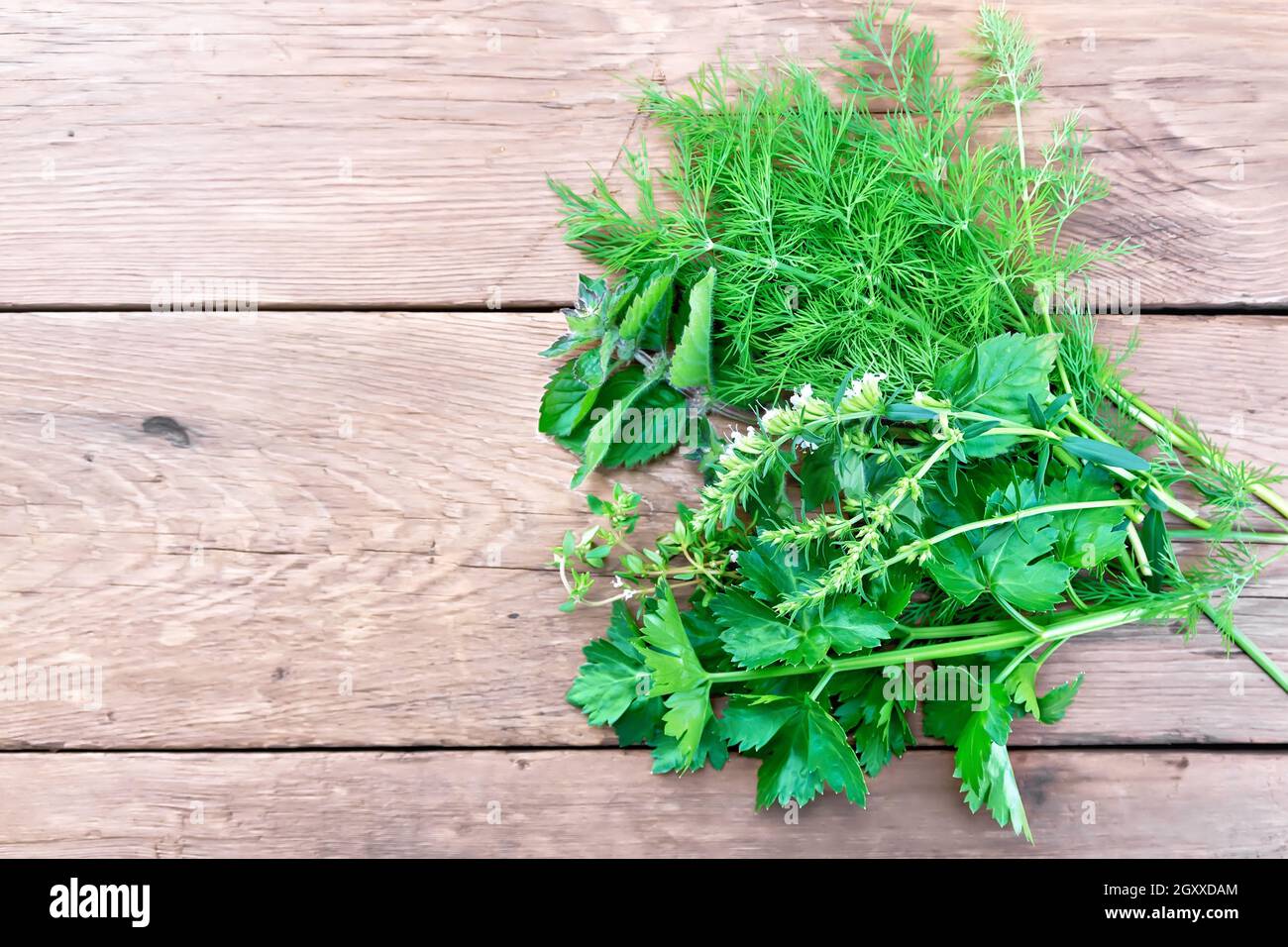 Sprig of celery hires stock photography and images Alamy