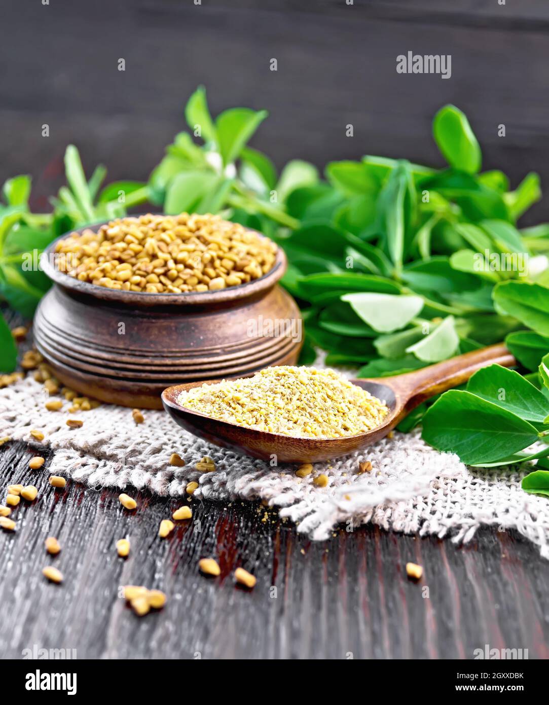 Ground fenugreek in a spoon and seeds in a bowl on burlap napkin with leaves on dark wooden board background Stock Photo