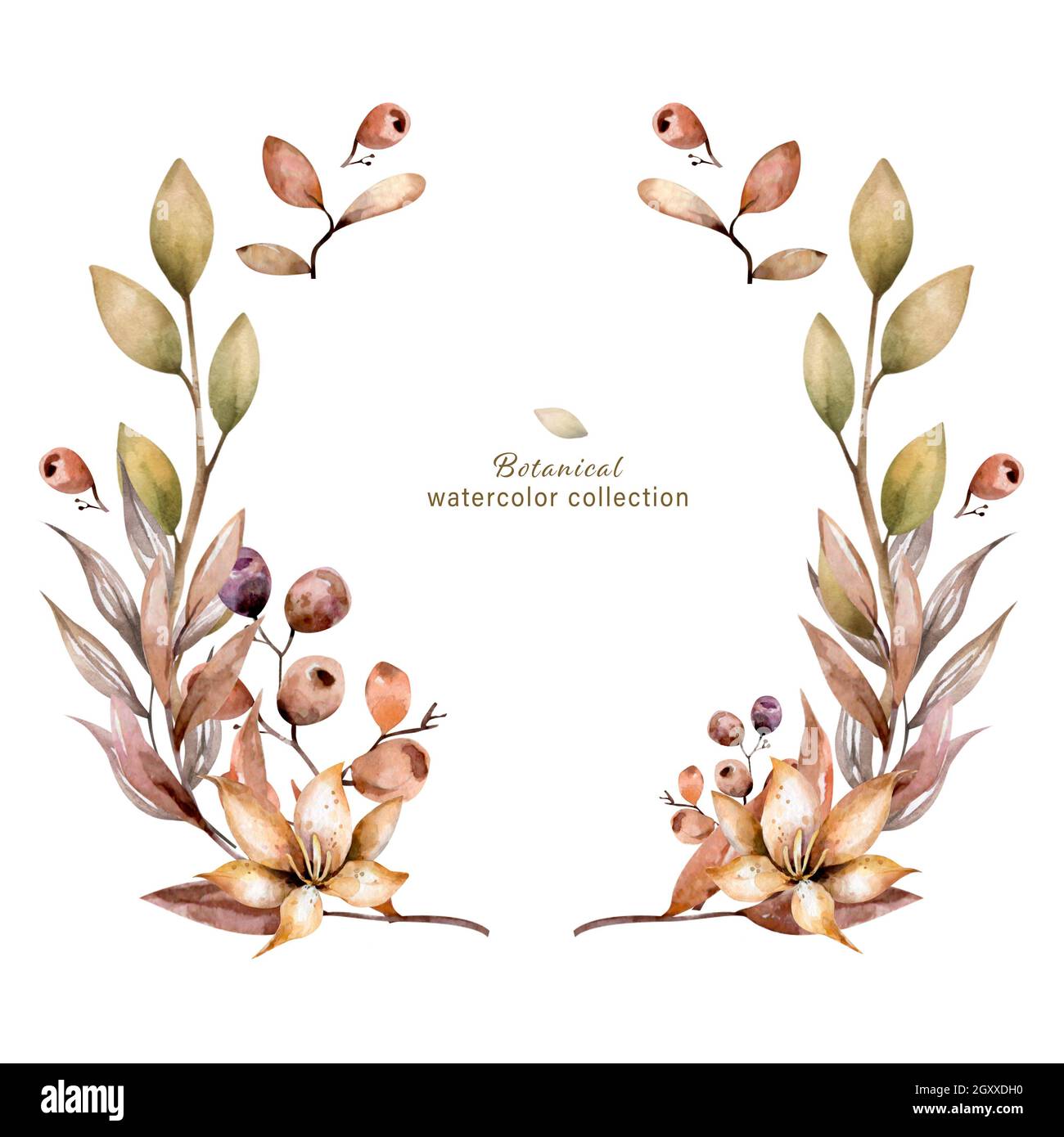 12 Dried Leaves & Flowers Clipart PNG Graphic by printztopbrand