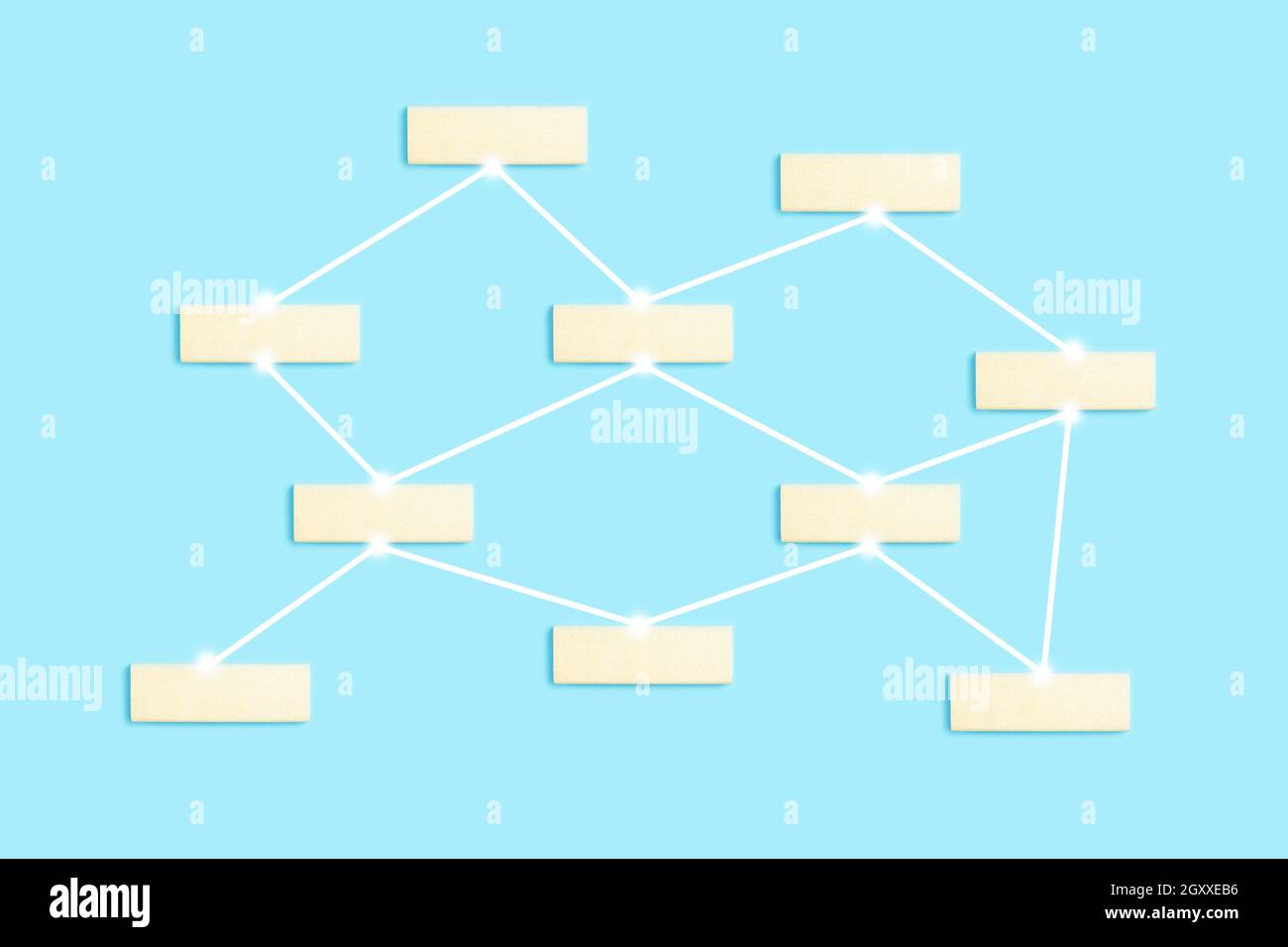 Blank food web template sarseh