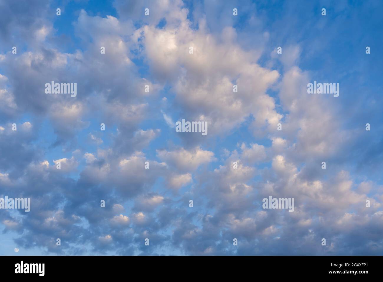 Beautiful clouds of different shapes in the sky before sunset Stock ...