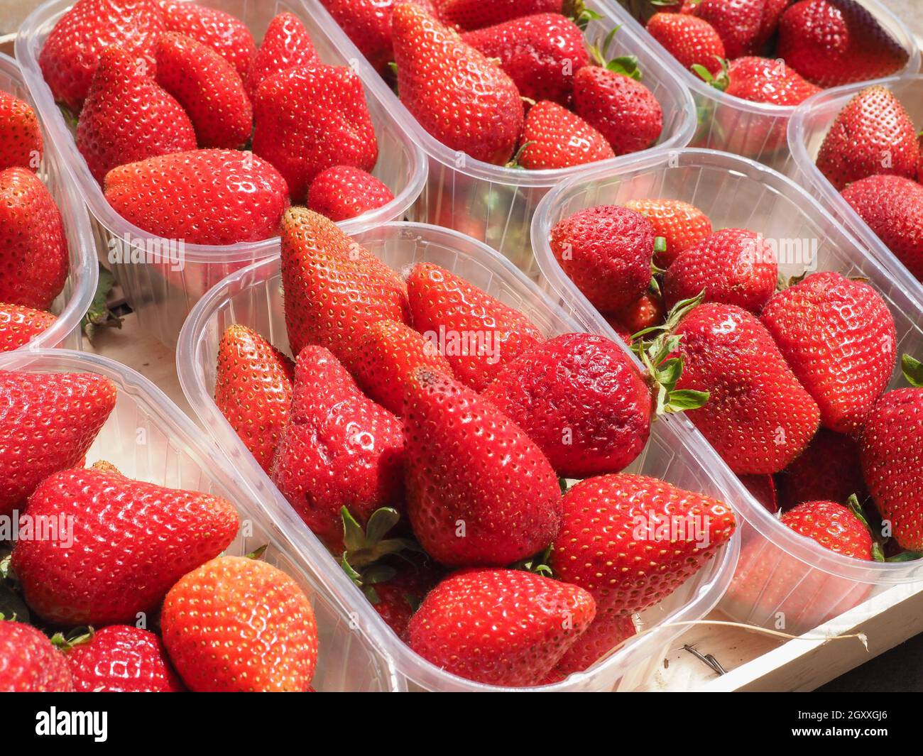many boxes of strawberries in a fruitbox Stock Photo Alamy