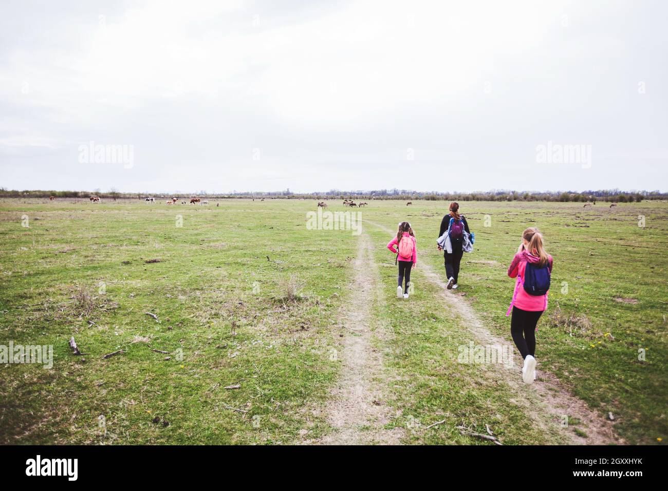 Family relax in nature reserve, mother with daughters walking in nature ...