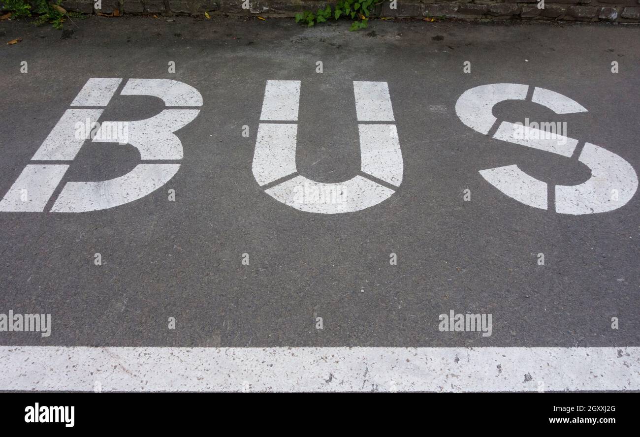 a bus lane marking on the street, public transport and road traffic