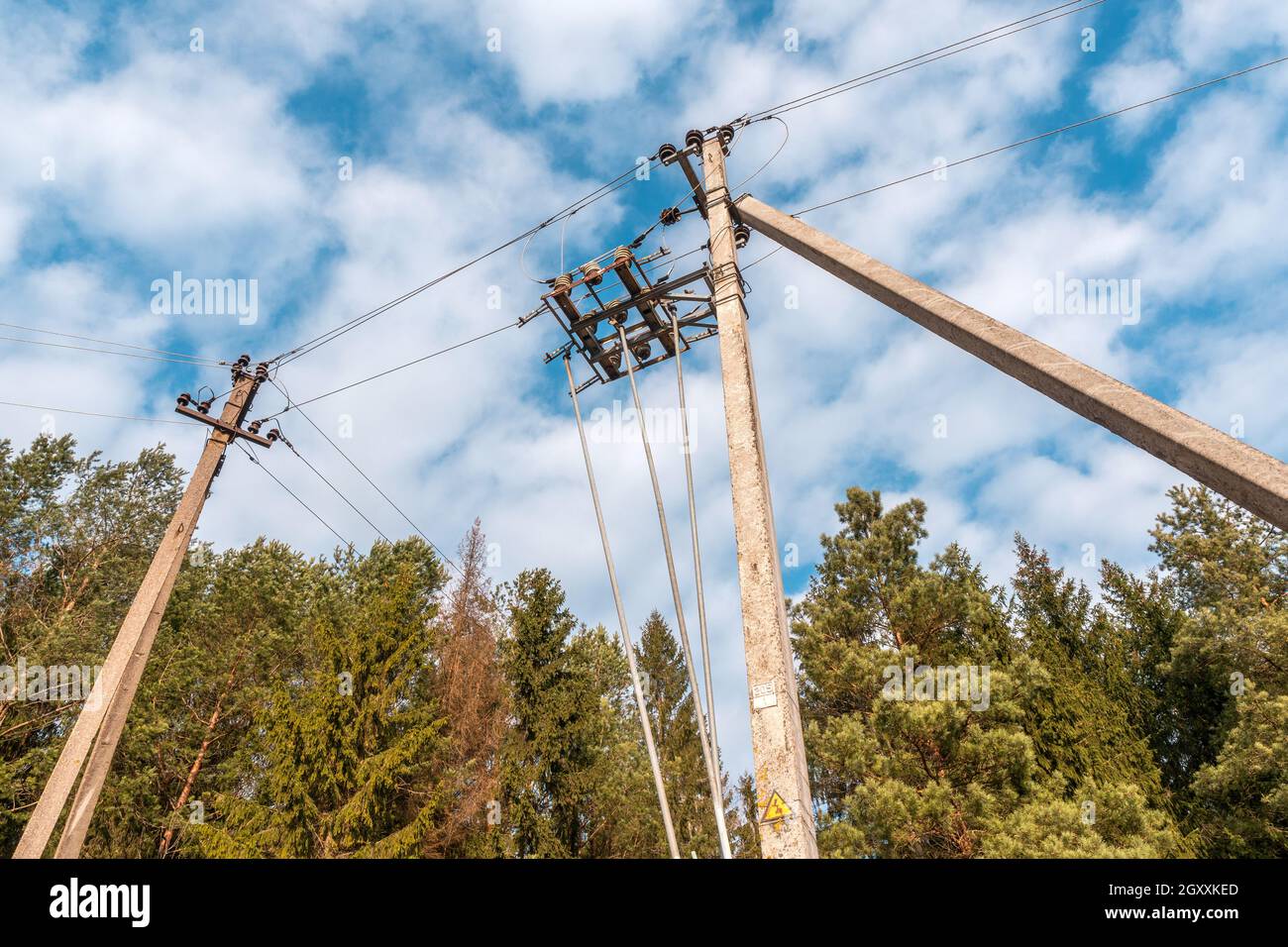 Poles with a power lines standing on the edge of a forest between green ...