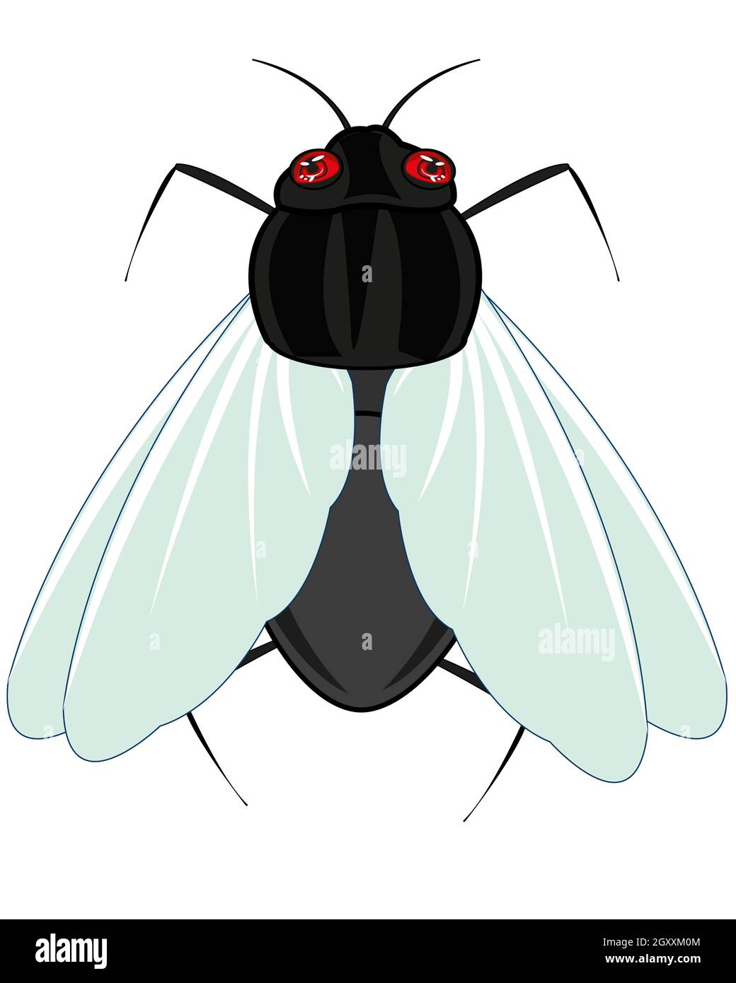 Vector illustration of the cartoon bad insect fly Stock Photo - Alamy