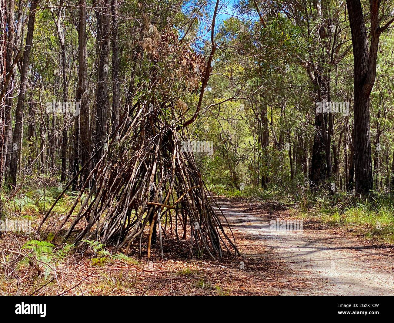 House Made of Sticks Stock Photo Alamy