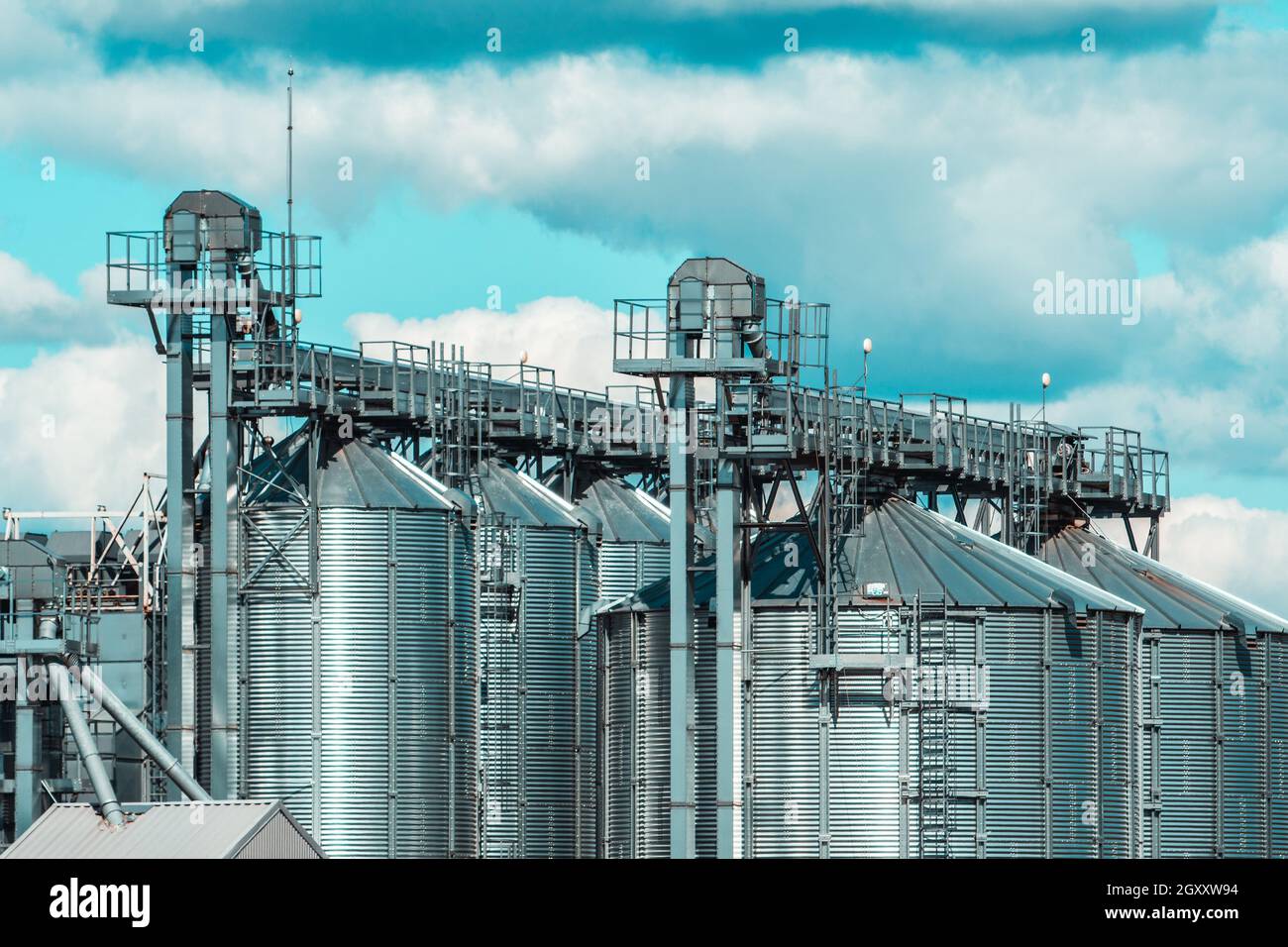 Stack Silo Agricultural Silo. Set of storage tanks cultivated agricultural crops ...
