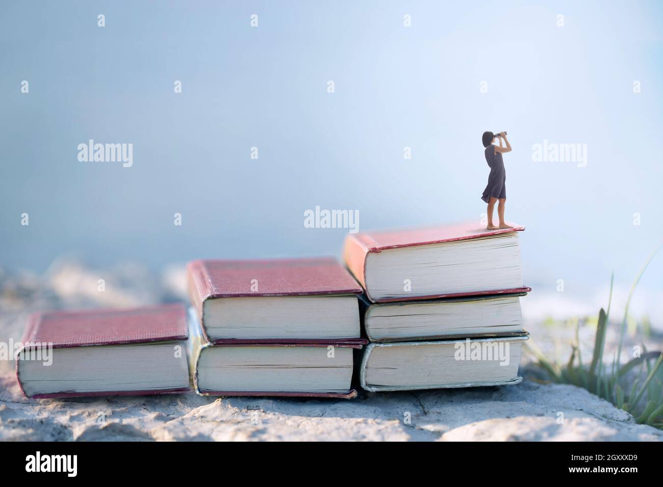 woman with binoculars on the top of a ladder of books, surreal concept Stock Photo