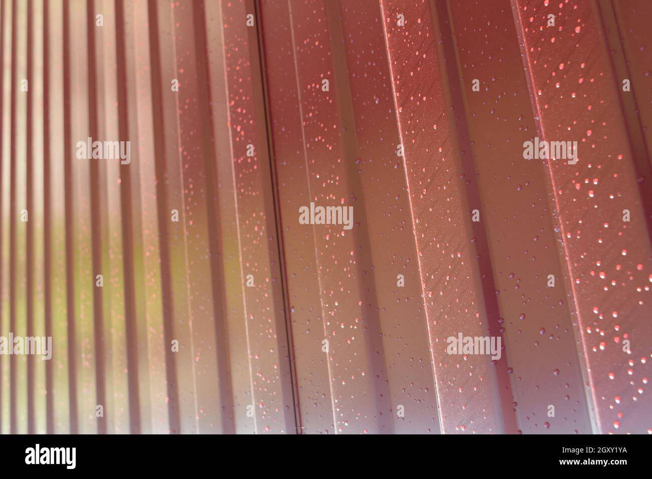 Diagonal pattern of metal profile. Fences from the galvanized iron ...