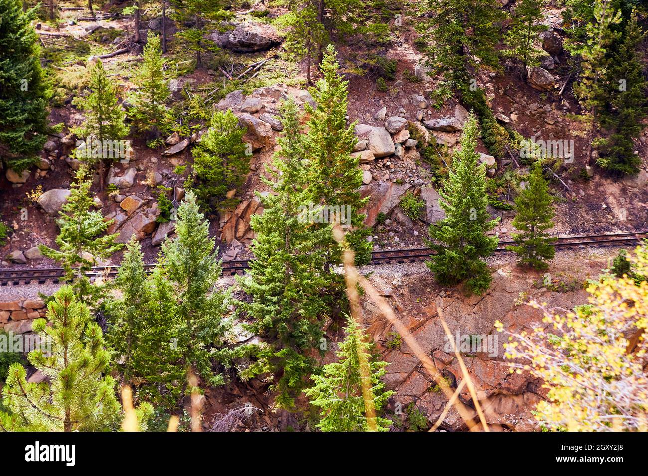 Train track through rocky mountain slop with scattered pine trees Stock Photo