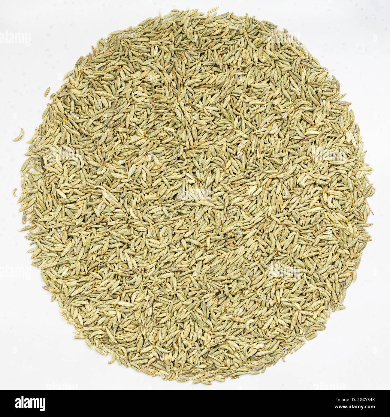 top view of pile of anise seeds on gray ceramic plate Stock Photo