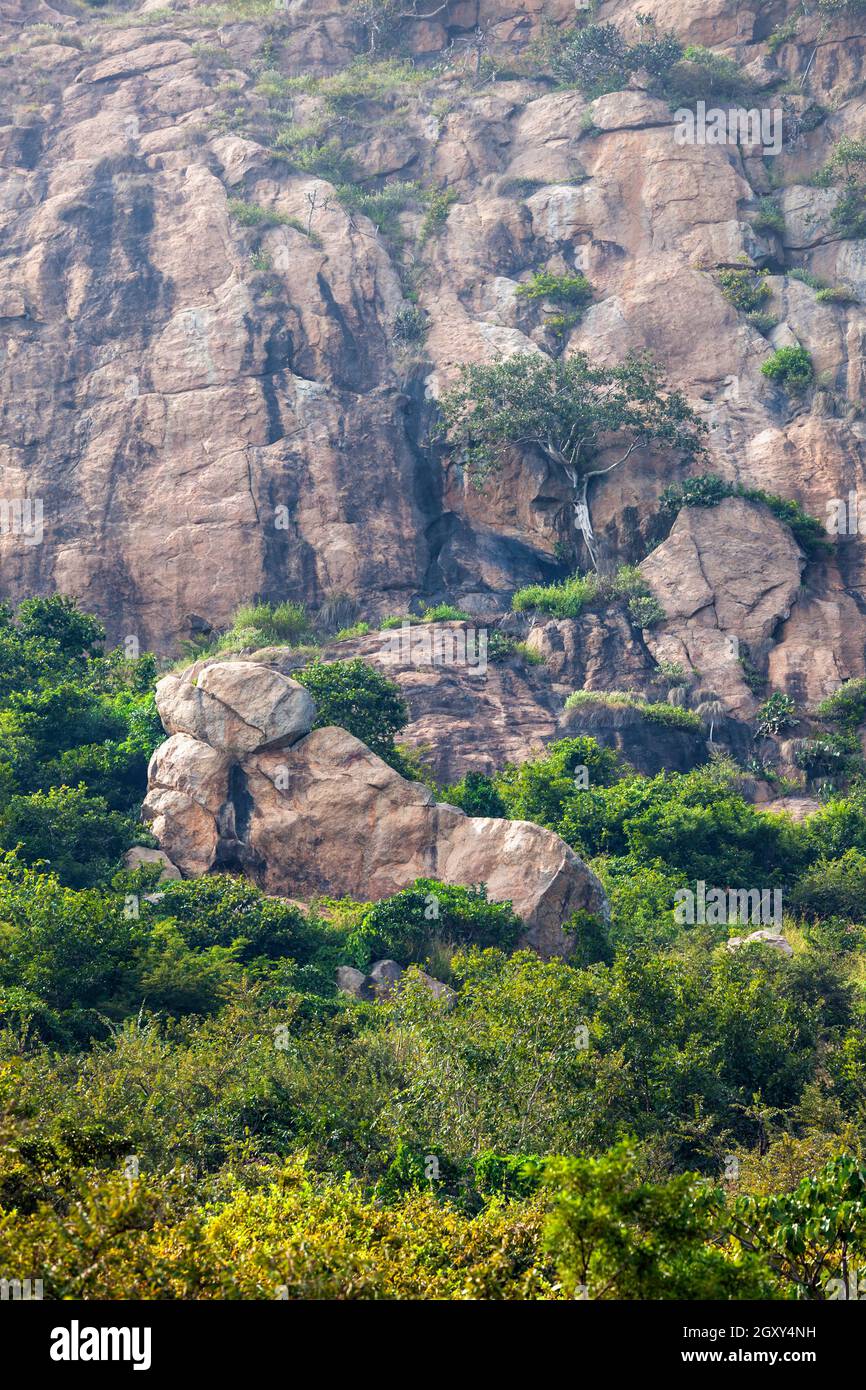 Shiva's foot - foot shaped rock at Mount Arunachala in Tiruvannamalai ...