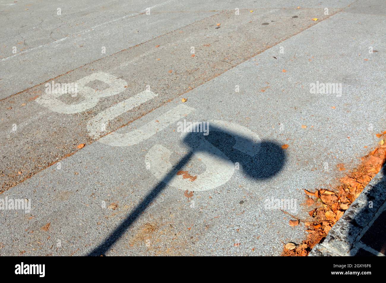 a bus lane marking on the street, public transport and road traffic