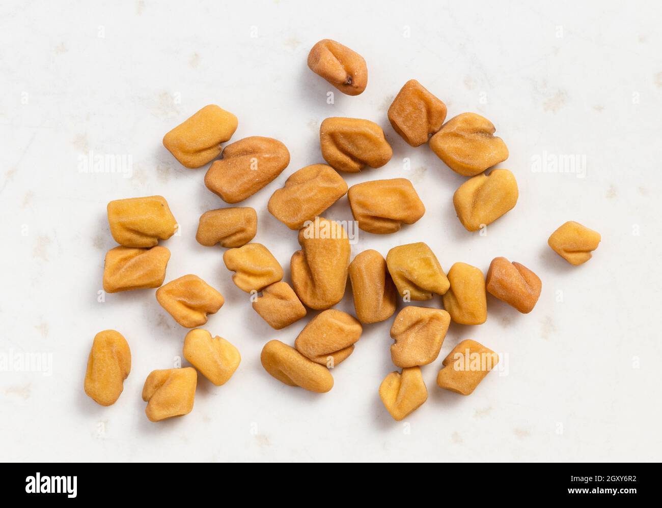 several whole fenugreek seeds close up on gray ceramic plate Stock Photo