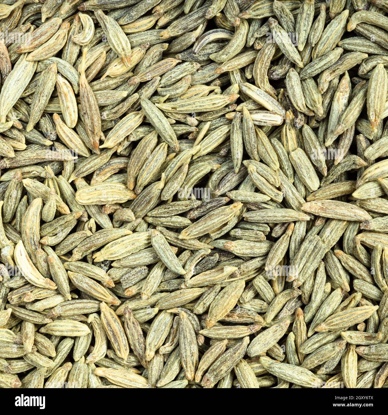 square food background - dried anise seeds close up Stock Photo