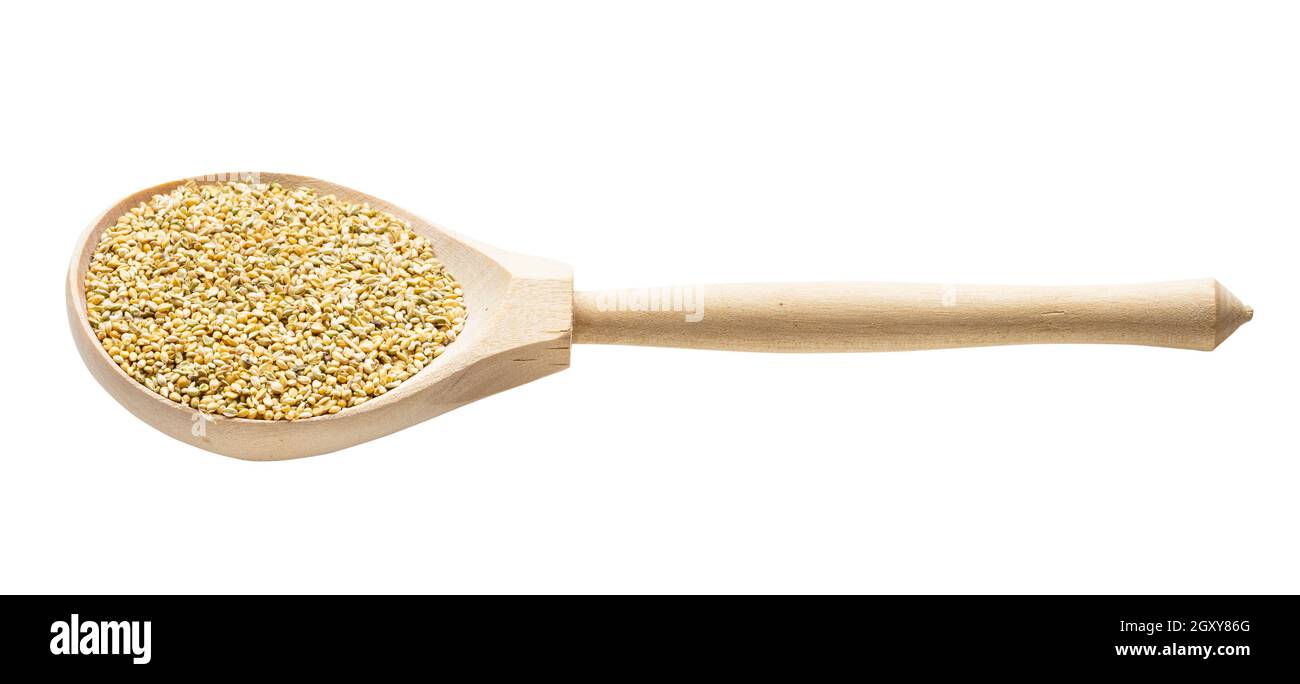 wholegrain foxtail millet seeds in wooden spoon isolated on white
