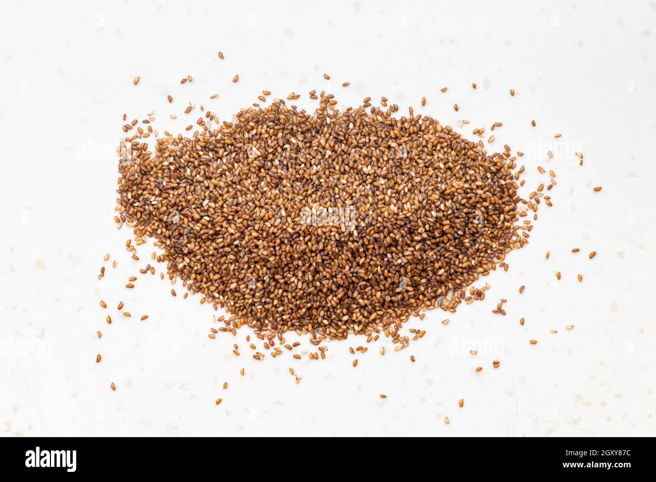 top view of pile of whole-grain teff seeds close up on gray ceramic plate Stock Photo