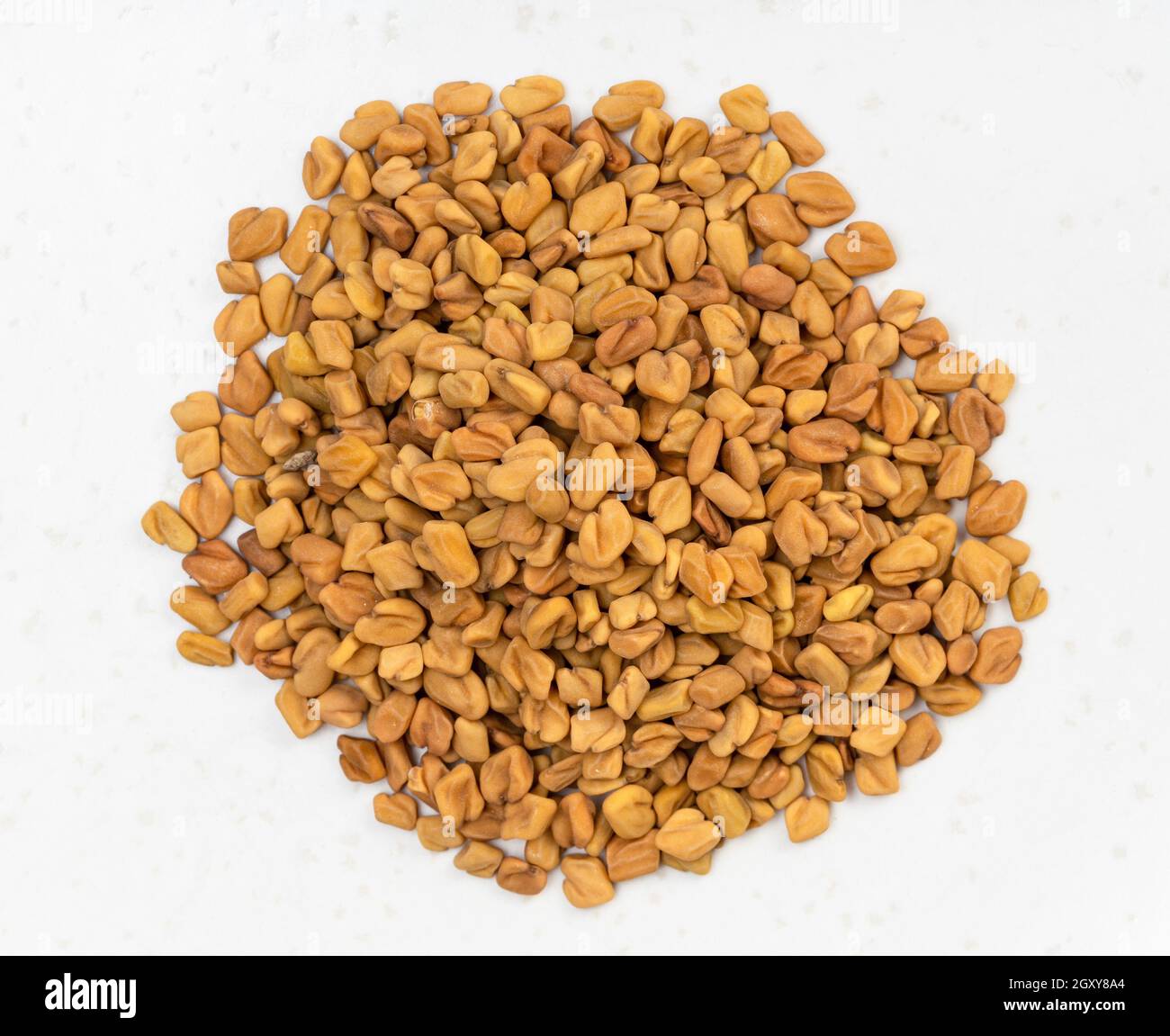 top view of pile of whole fenugreek seeds close up on gray ceramic plate Stock Photo
