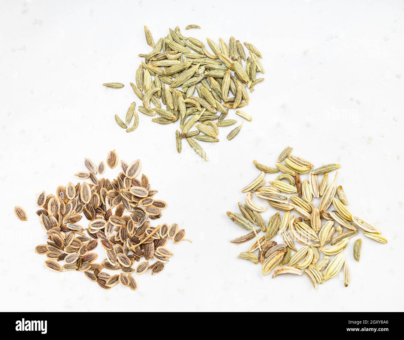 three pinches of anise, dill and fennel seeds on gray ceramic plate Stock Photo