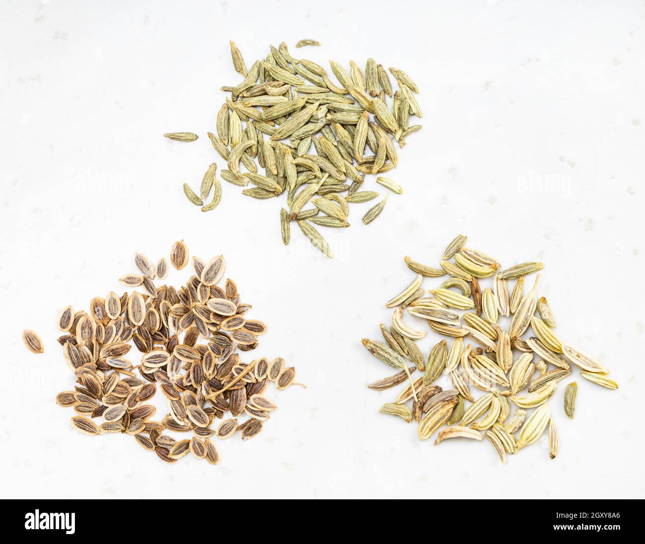 Pinch of fennel seeds hires stock photography and images Alamy