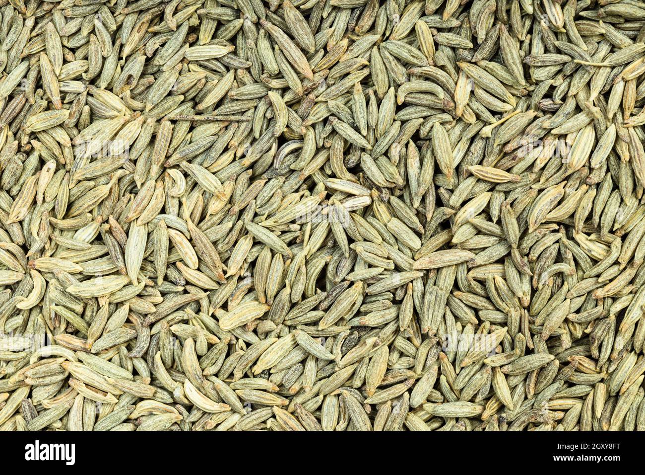 food background - many dried anise seeds Stock Photo