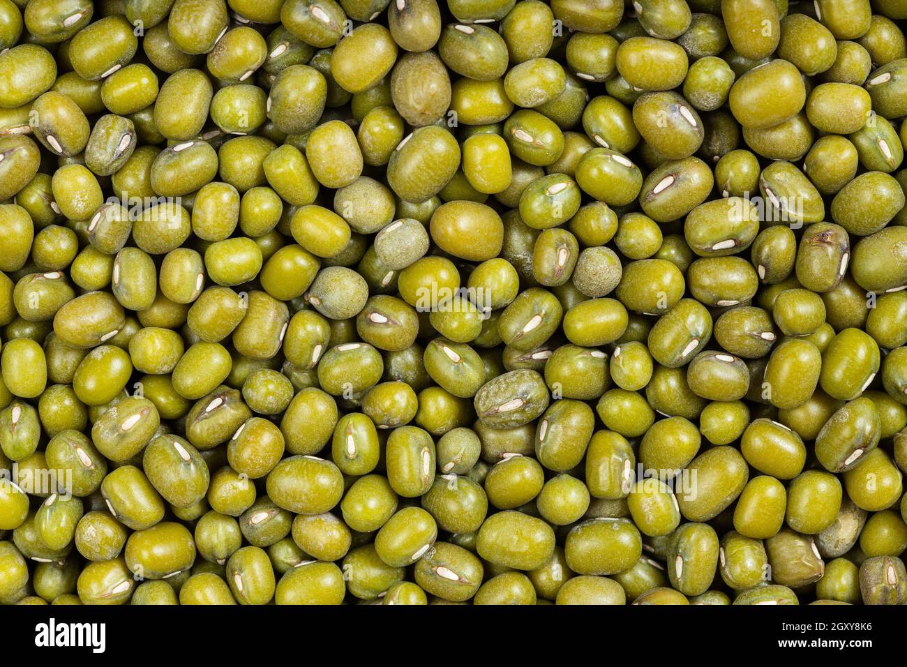 food background - raw green mung beans Stock Photo