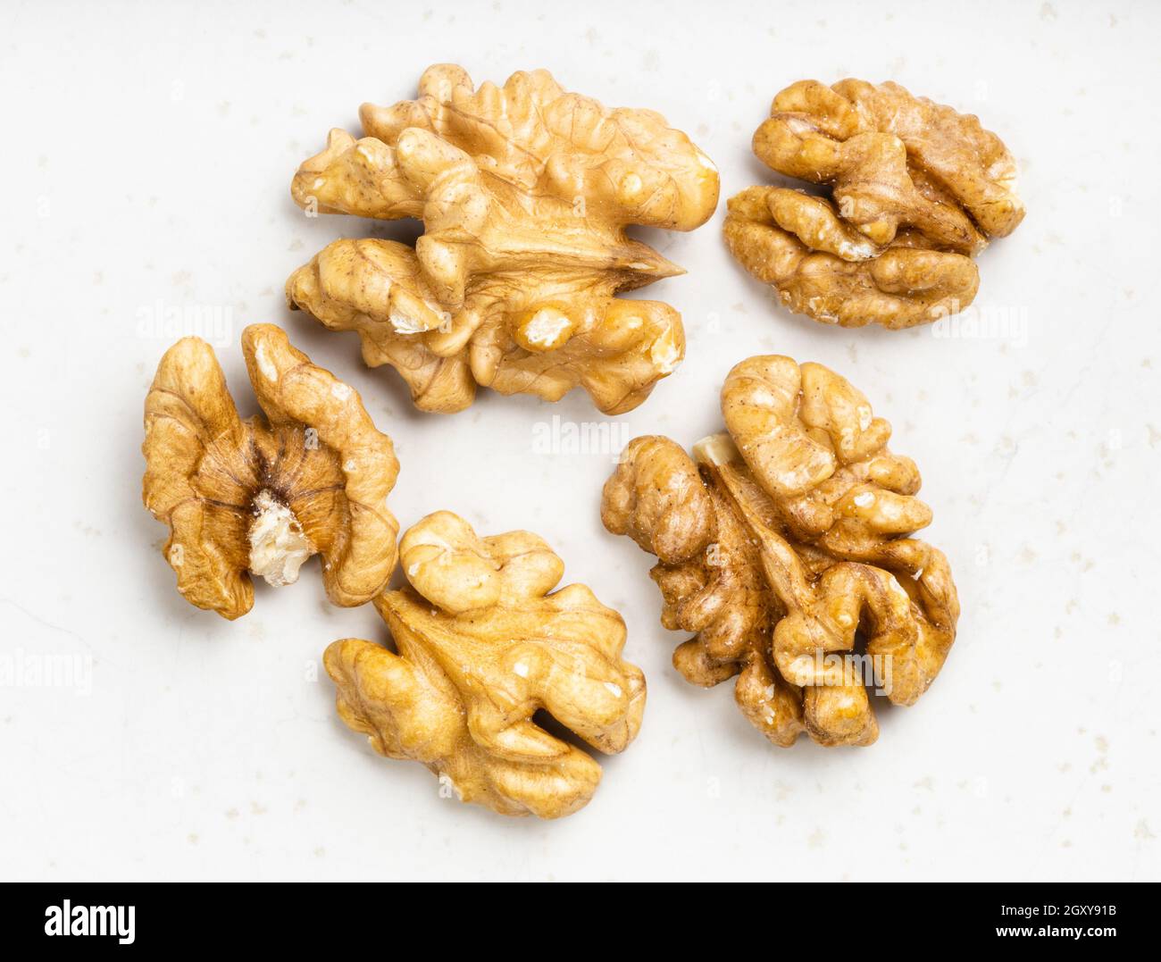 several shelled walnuts close up on gray ceramic plate Stock Photo