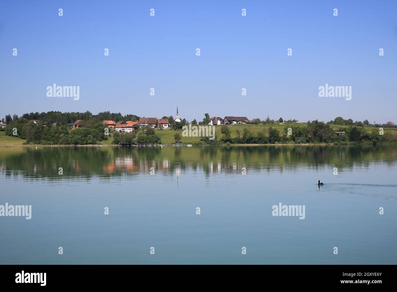 Dream like summer morning at the shore of Lake Pfaffikon, Zurich Canton. Stock Photo