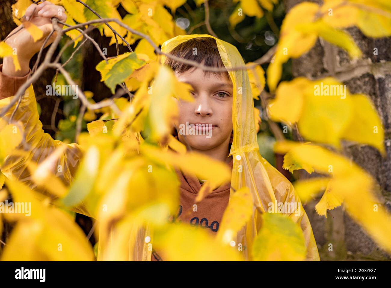 Photo of teenage boy in yellow raincoat among autumn leaves, closes one ...
