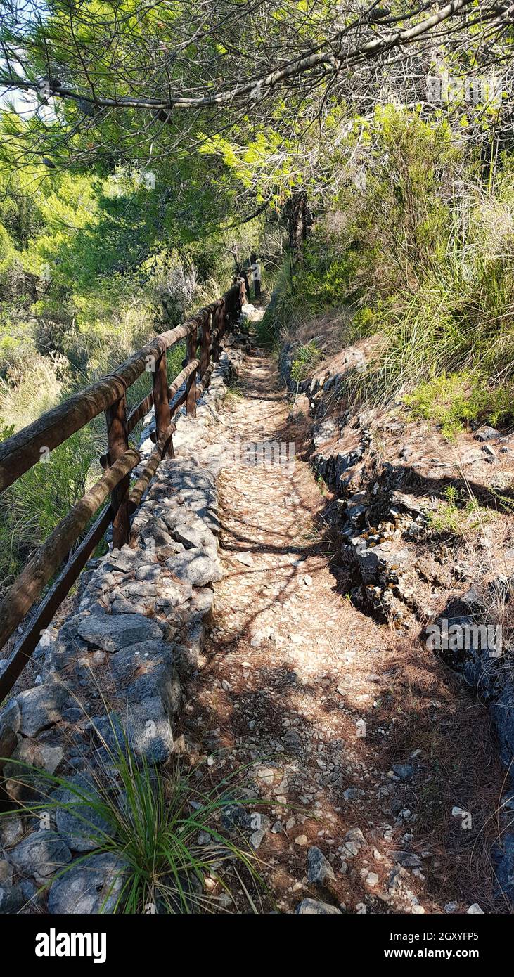 Path in forest campania hi res stock photography and images alamy