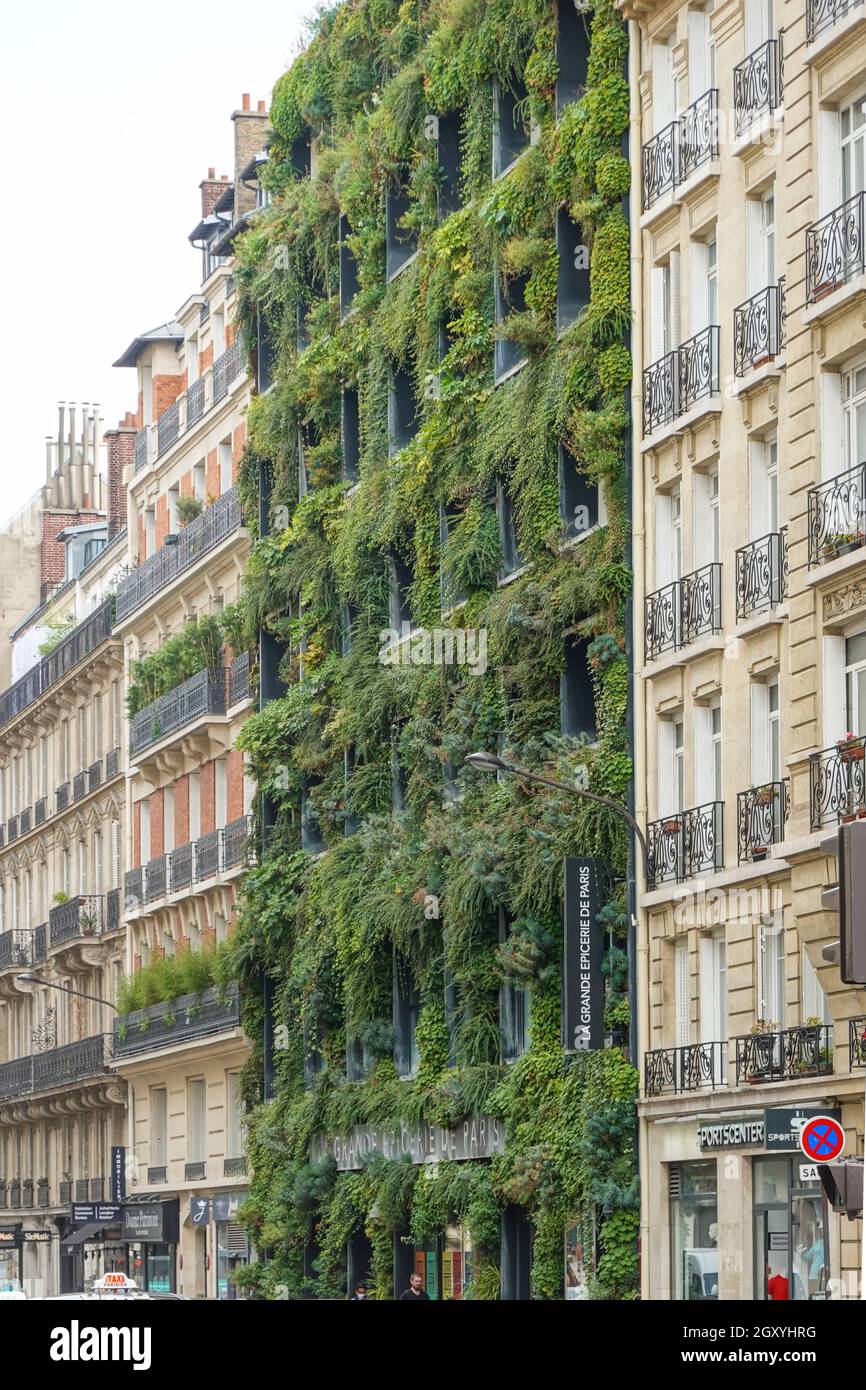 The Facade Of The La Grande Epicerie De Paris Is Covered With Living Wall  Stock Photo - Download Image Now - iStock