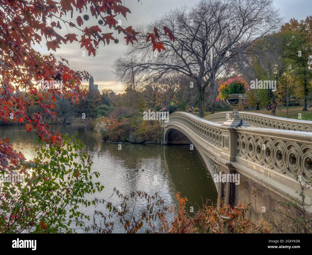 Bow bridge, Central Park, New York City in late autumn Stock Photo - Alamy