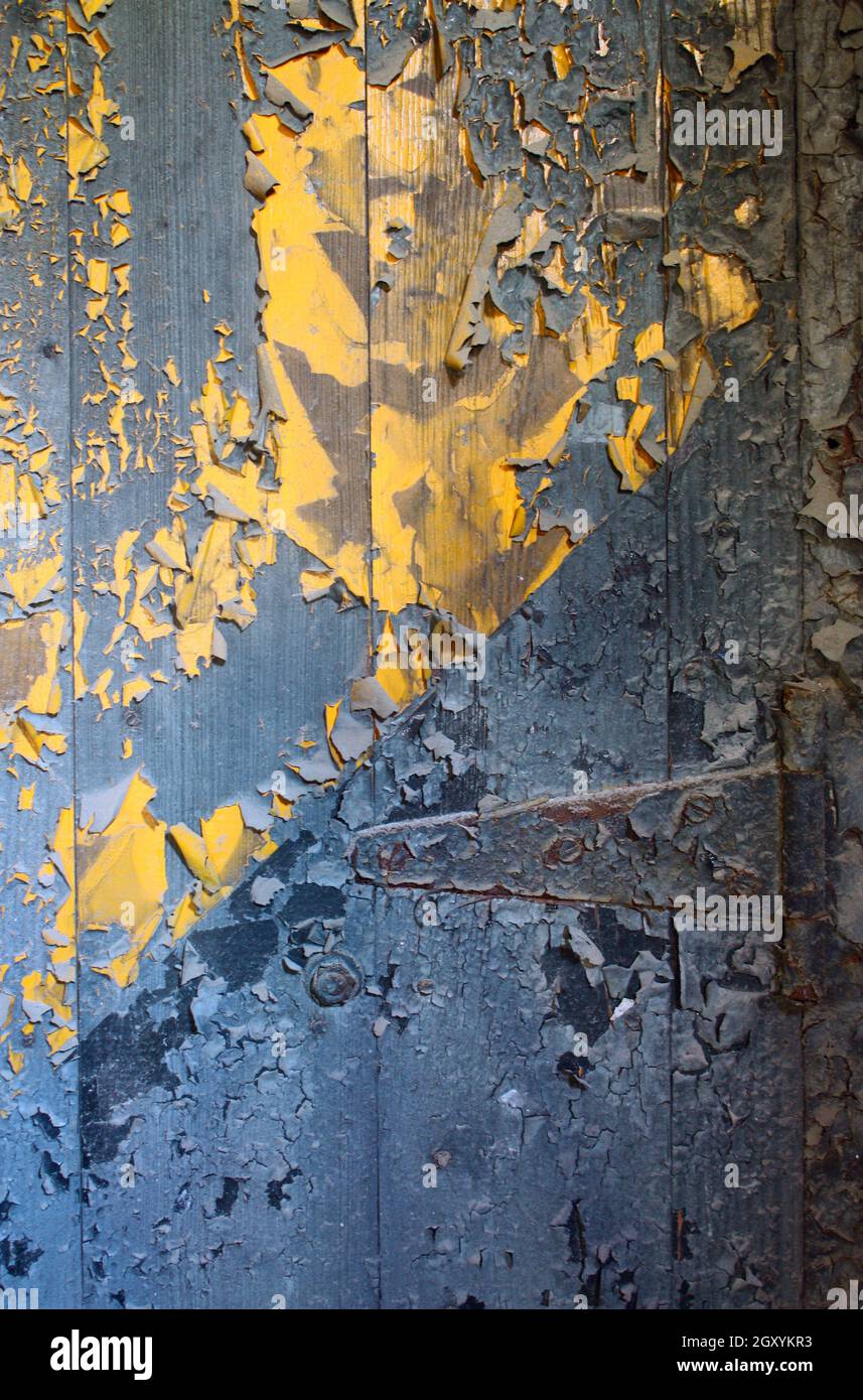 Wooden door's blue paint peels to show bright yellow paint beneath