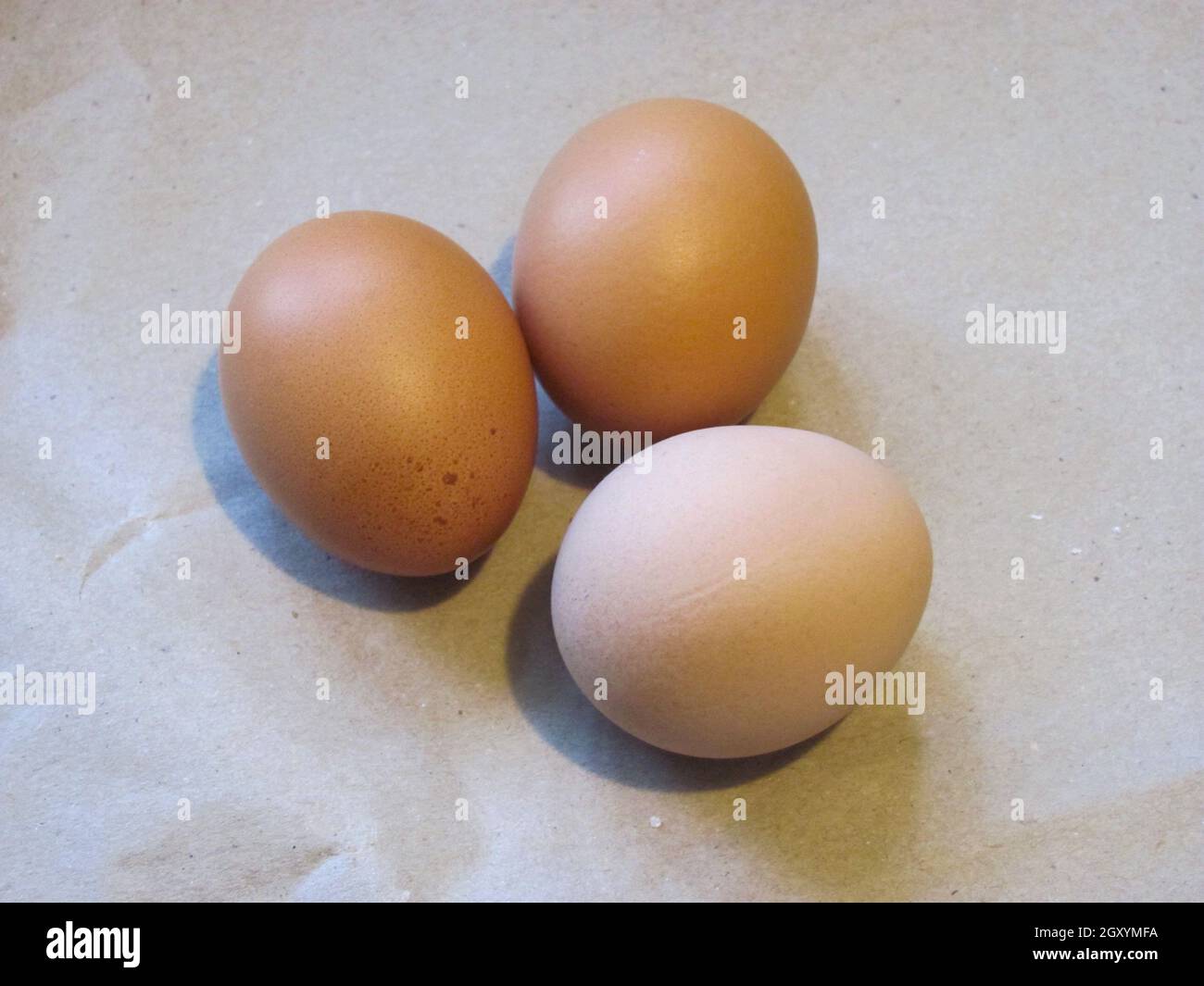 three chicken eggs lying side by side Stock Photo