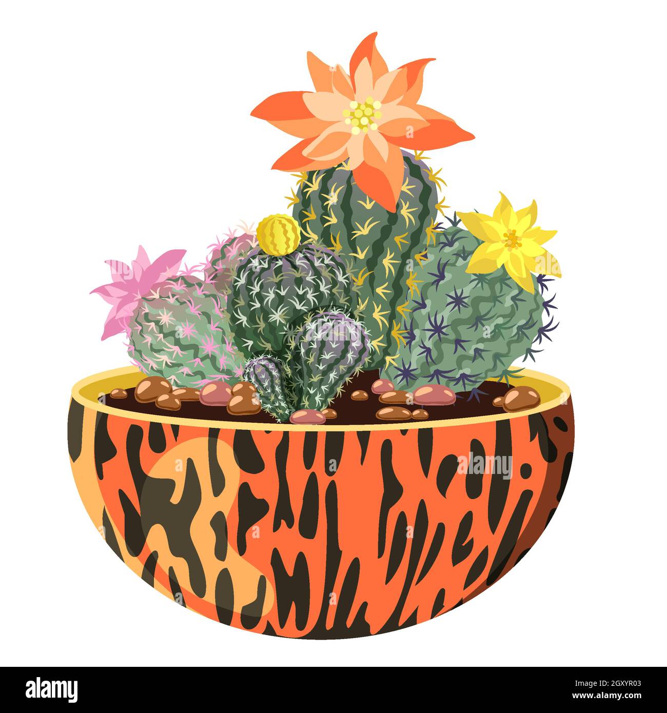 Blooming cacti in a pot. Vector image isolated on white background ...
