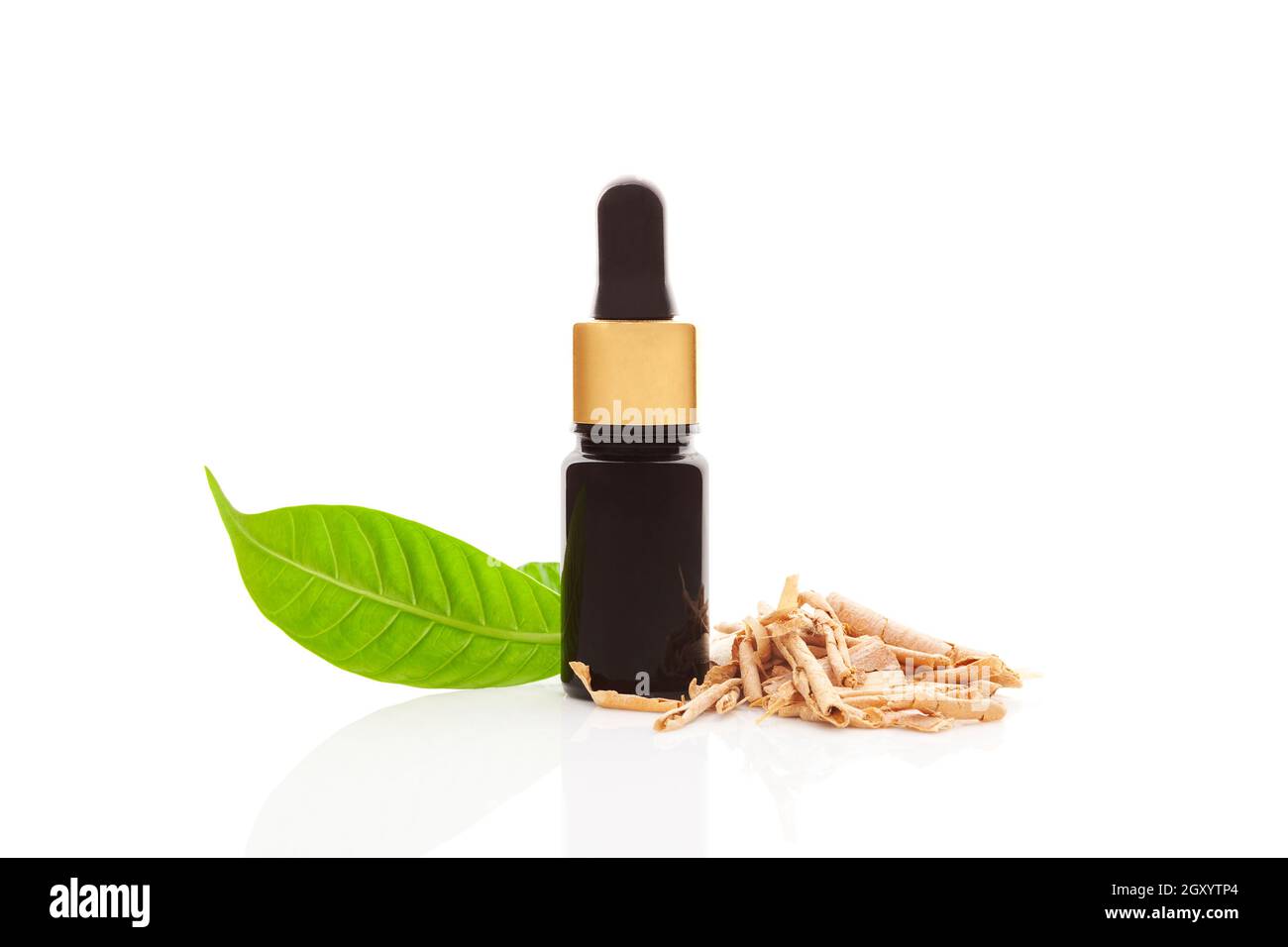 Sananga eye drops. Root bark and bottle with pipette. Stock Photo