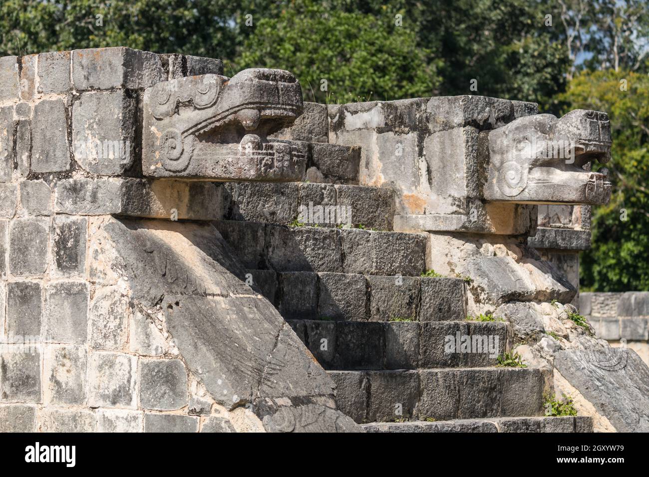 Mayan Jaguar Figurehead Sculptures at the Archaeological Site in