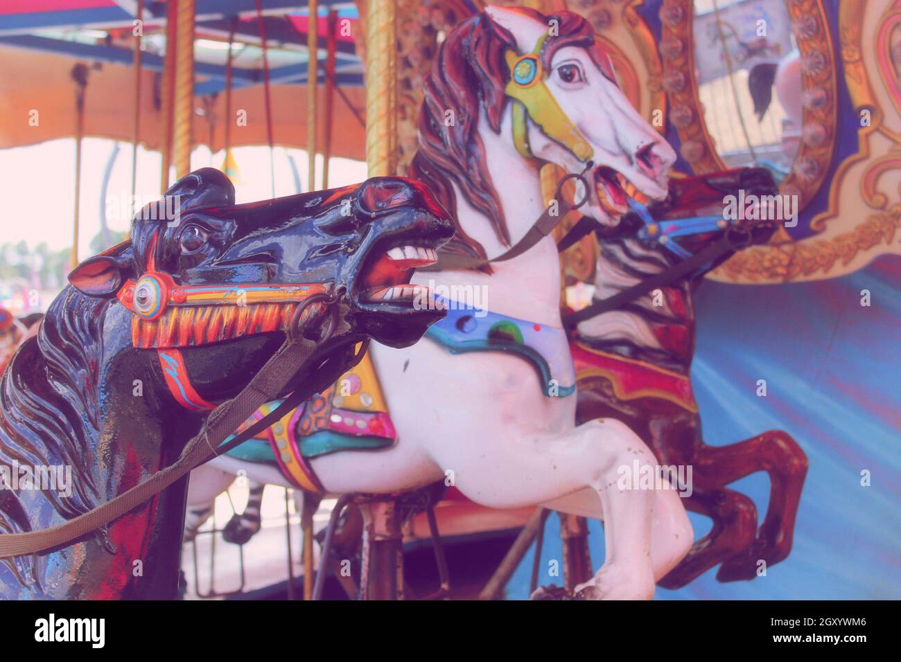 Texas Cavael Rides Carousel horses at rural carnival in East Texas Stock Photo - Alamy