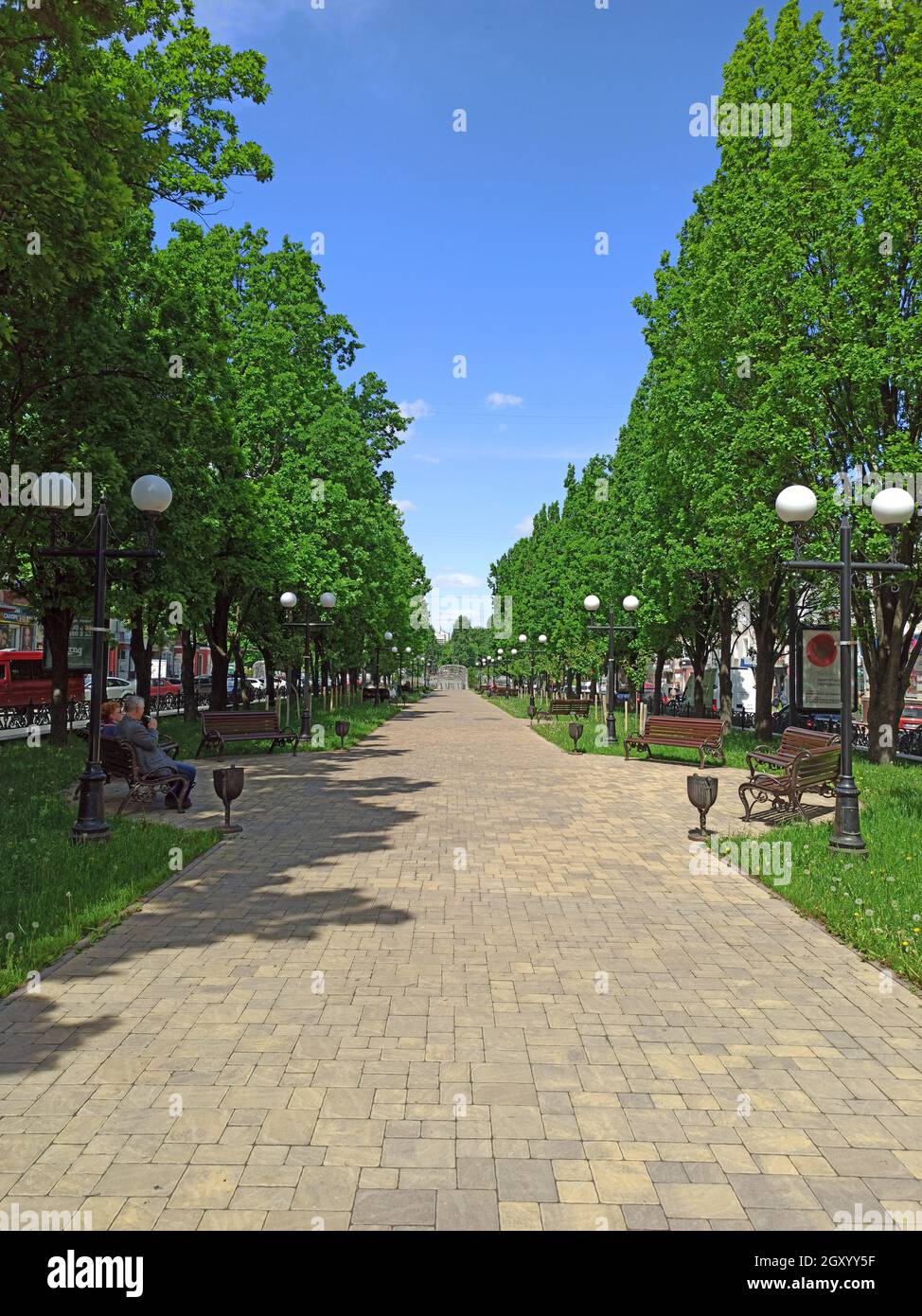 Summer city park with pathway benches and green trees. Trees in green ...
