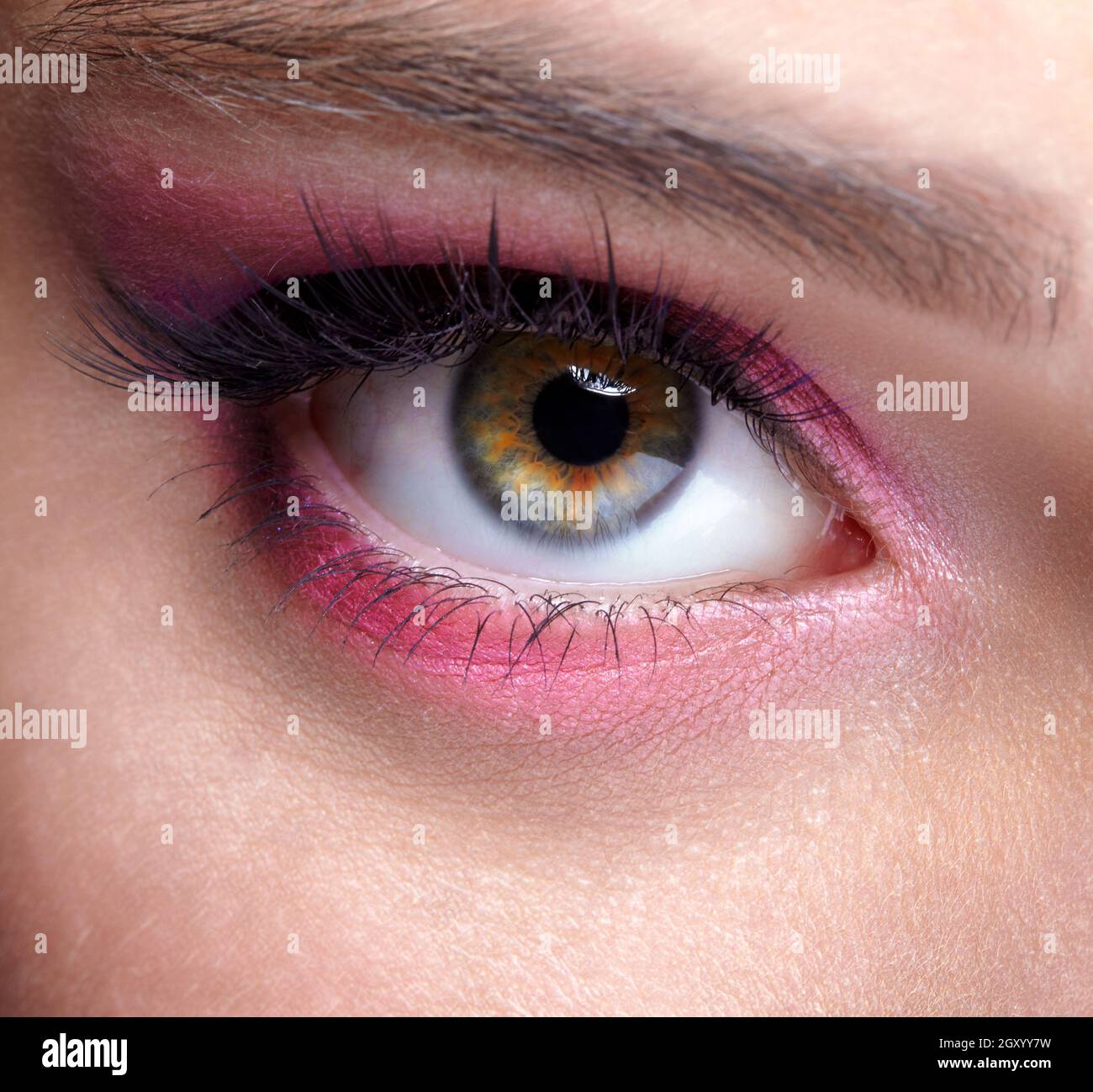 Closeup macro shot of  human female eye. Woman with natural evening vogue face beauty makeup. Girl with perfect skin and  pink  eyes shadows. Stock Photo