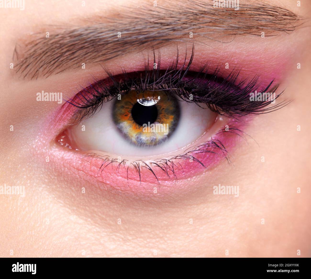 Closeup macro shot of  human female eye. Woman with natural evening vogue face beauty makeup. Girl with perfect skin and  pink  eyes shadows. Stock Photo
