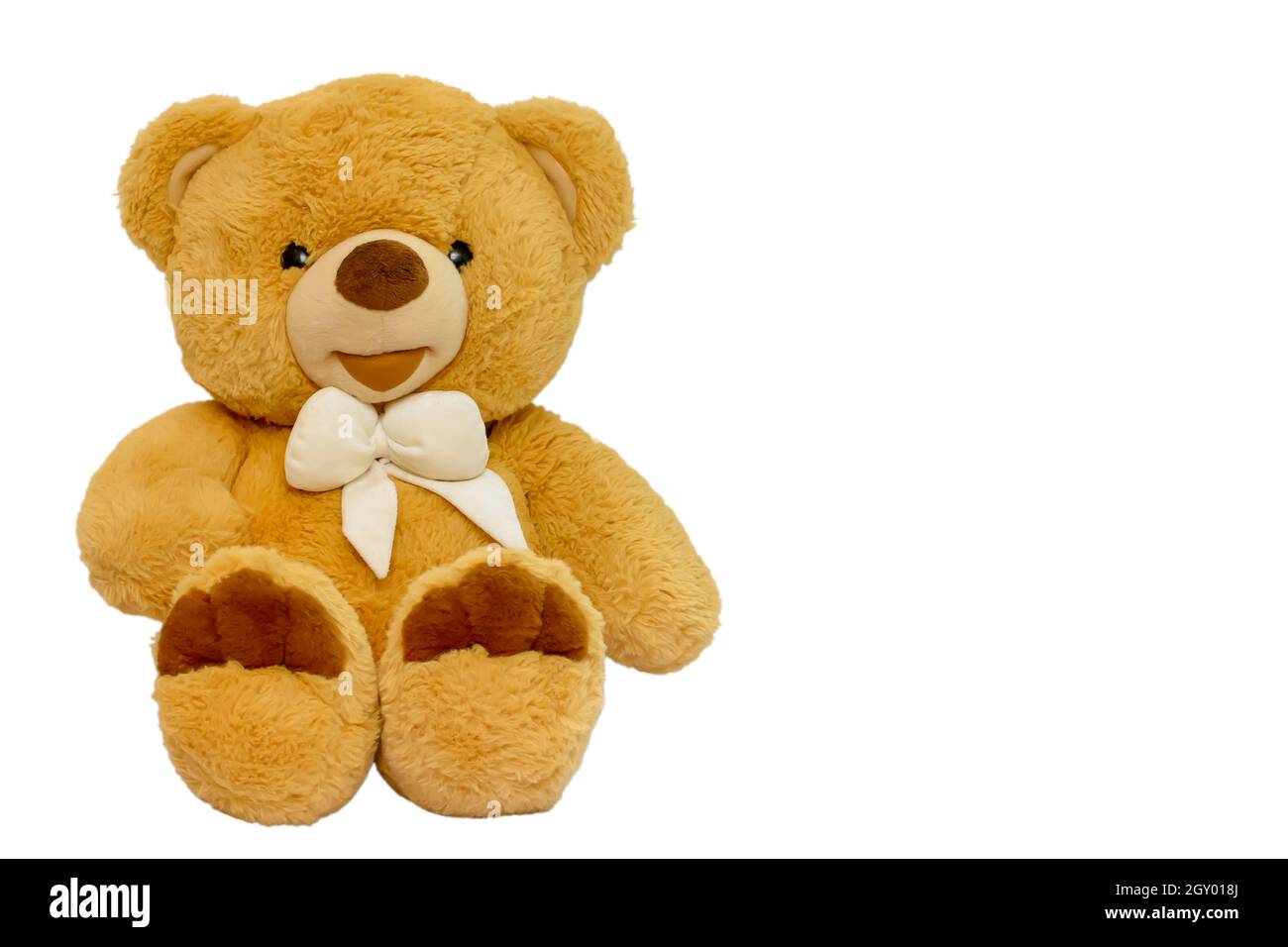 Teddy bear isolated on a white background Stock Photo - Alamy