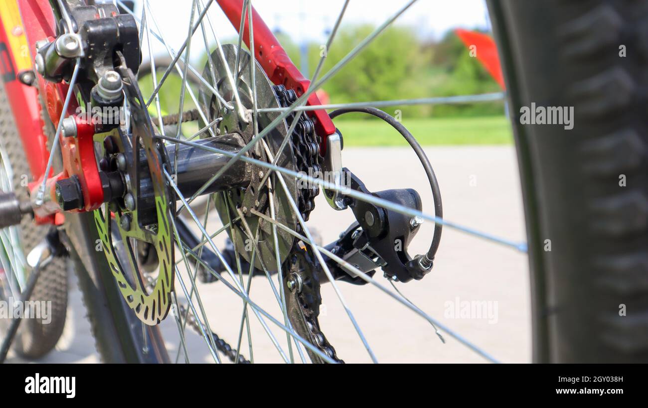 Closeup of a rear set of gear shifting sprockets on the rear wheel of