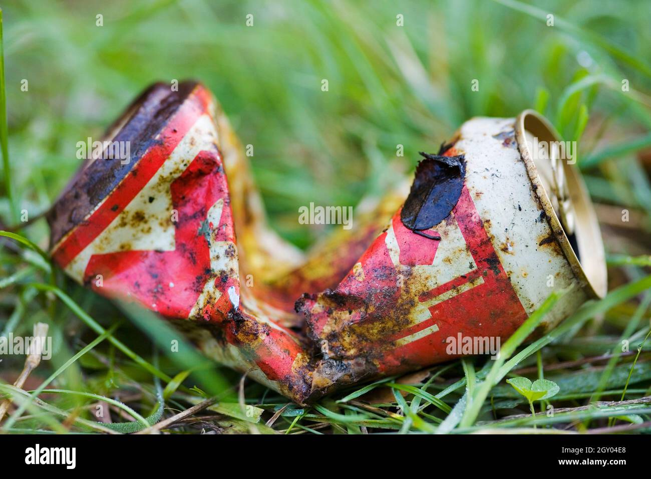 beverage can on a meadow, Austria Stock Photo