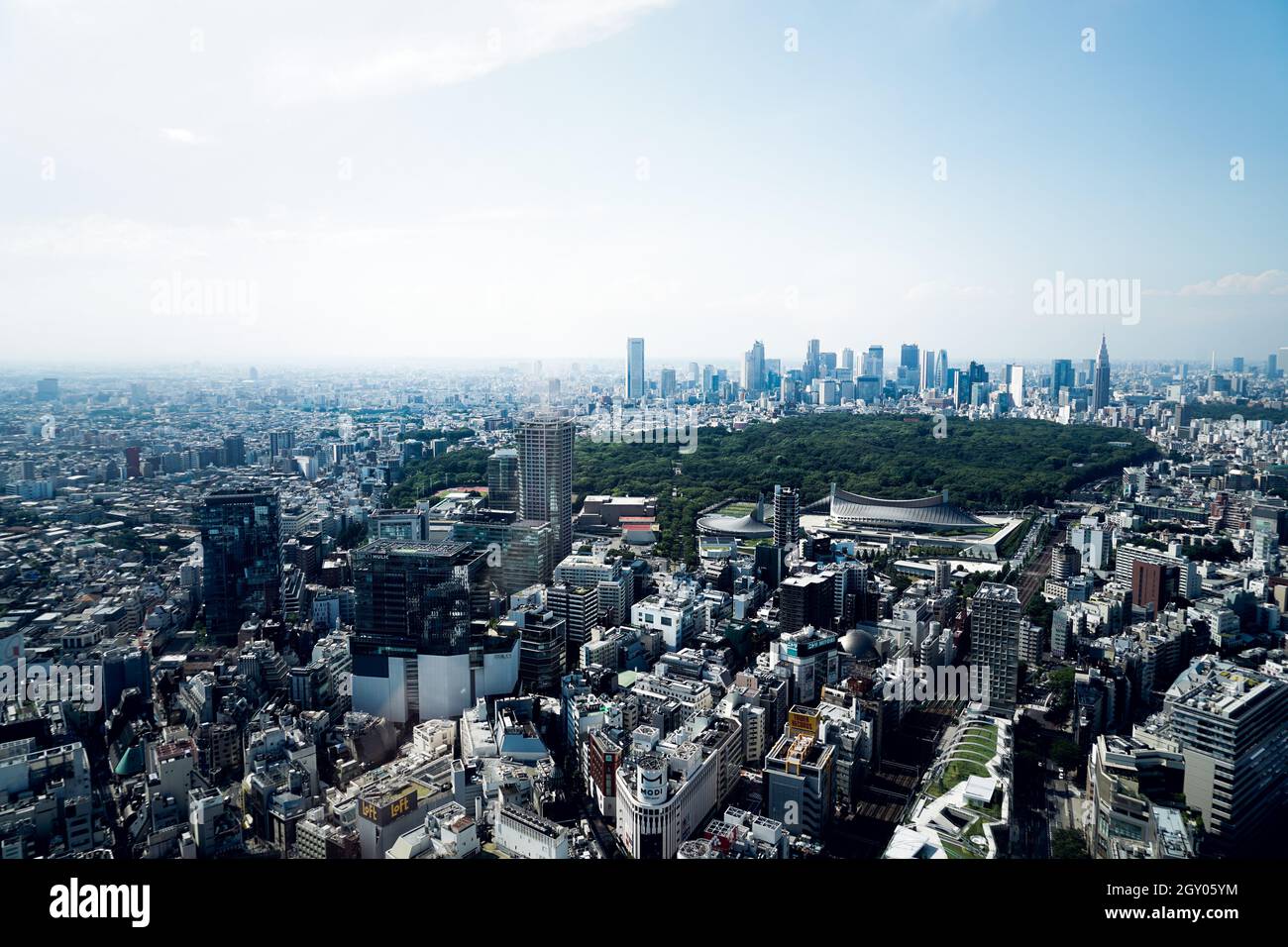 Tokyo skyline seen from the Shibuya Sky. Shooting Location: Tokyo metropolitan area Stock Photo