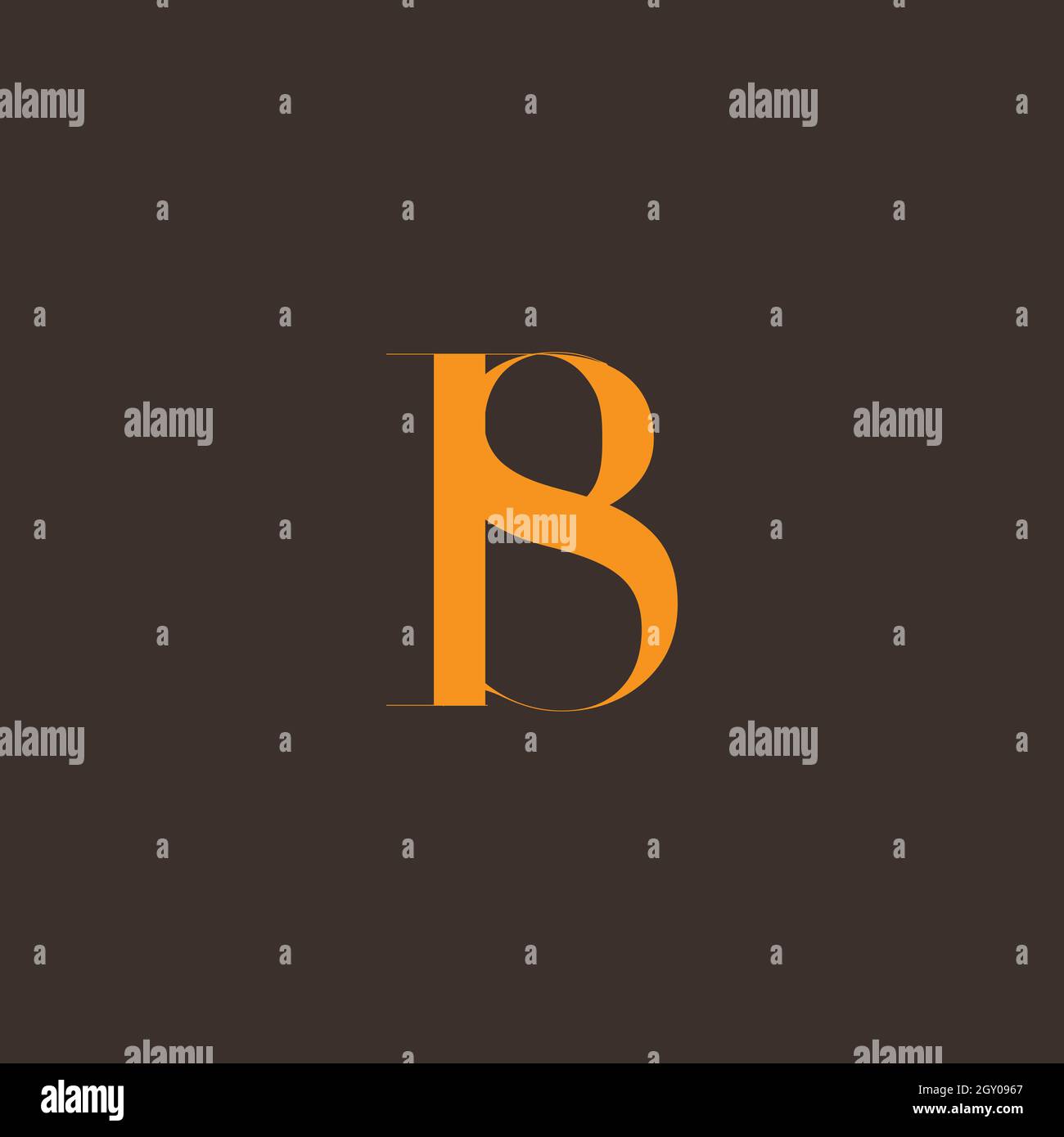 Initial BS uppercase letter icon logo Stock Vector