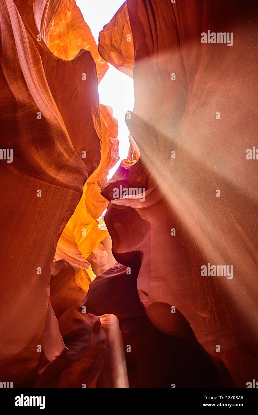 Worm's eye view from the bottom of a canyon where sunlight filters in Stock Photo