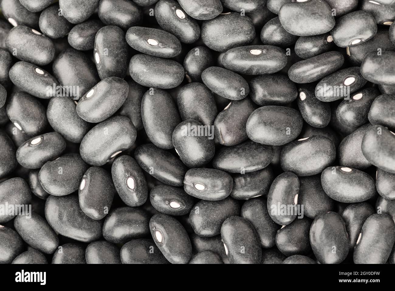Black turtle bean background texture. Phaseolus vulgaris Stock Photo